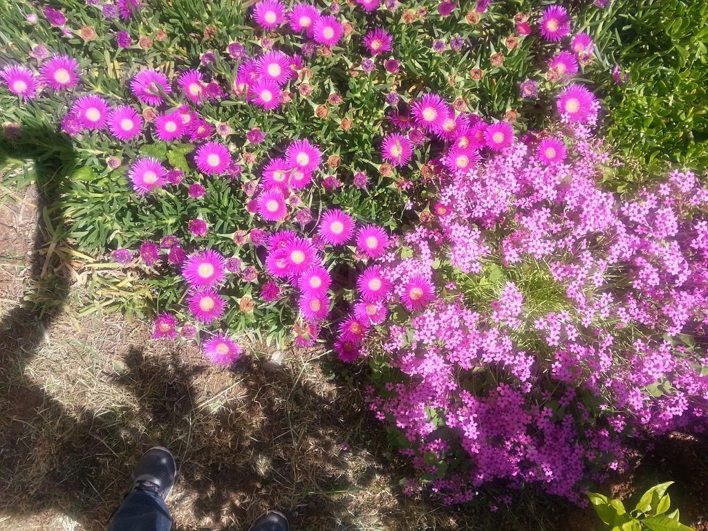 Apartmani Villa Lilliana Tribalj Buitenkant foto